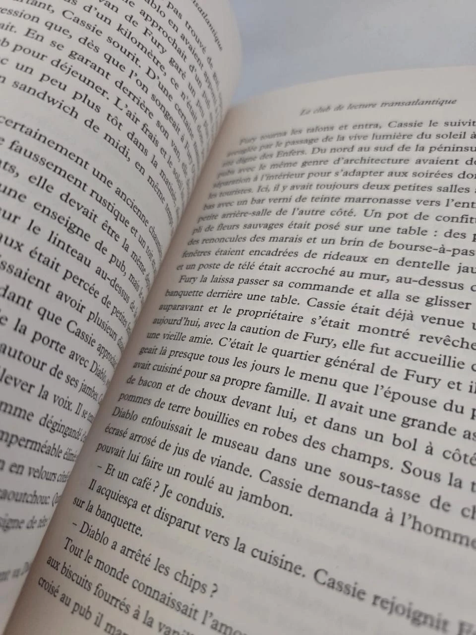 De transatlantische leesclub – Felicity Hayes-McCoy – Feel-good roman – photo 3